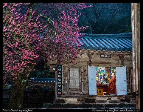 South Korea, Hwaeomsa Temple :: Praying